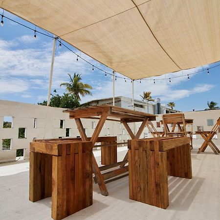 Hotel Casa Ceci Inn San José del Cabo Zewnętrze zdjęcie