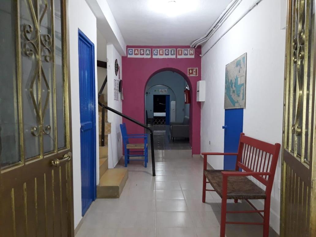 Hotel Casa Ceci Inn San José del Cabo Zewnętrze zdjęcie
