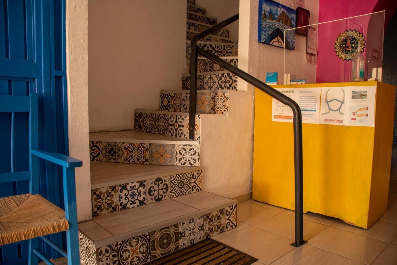 Hotel Casa Ceci Inn San José del Cabo Zewnętrze zdjęcie