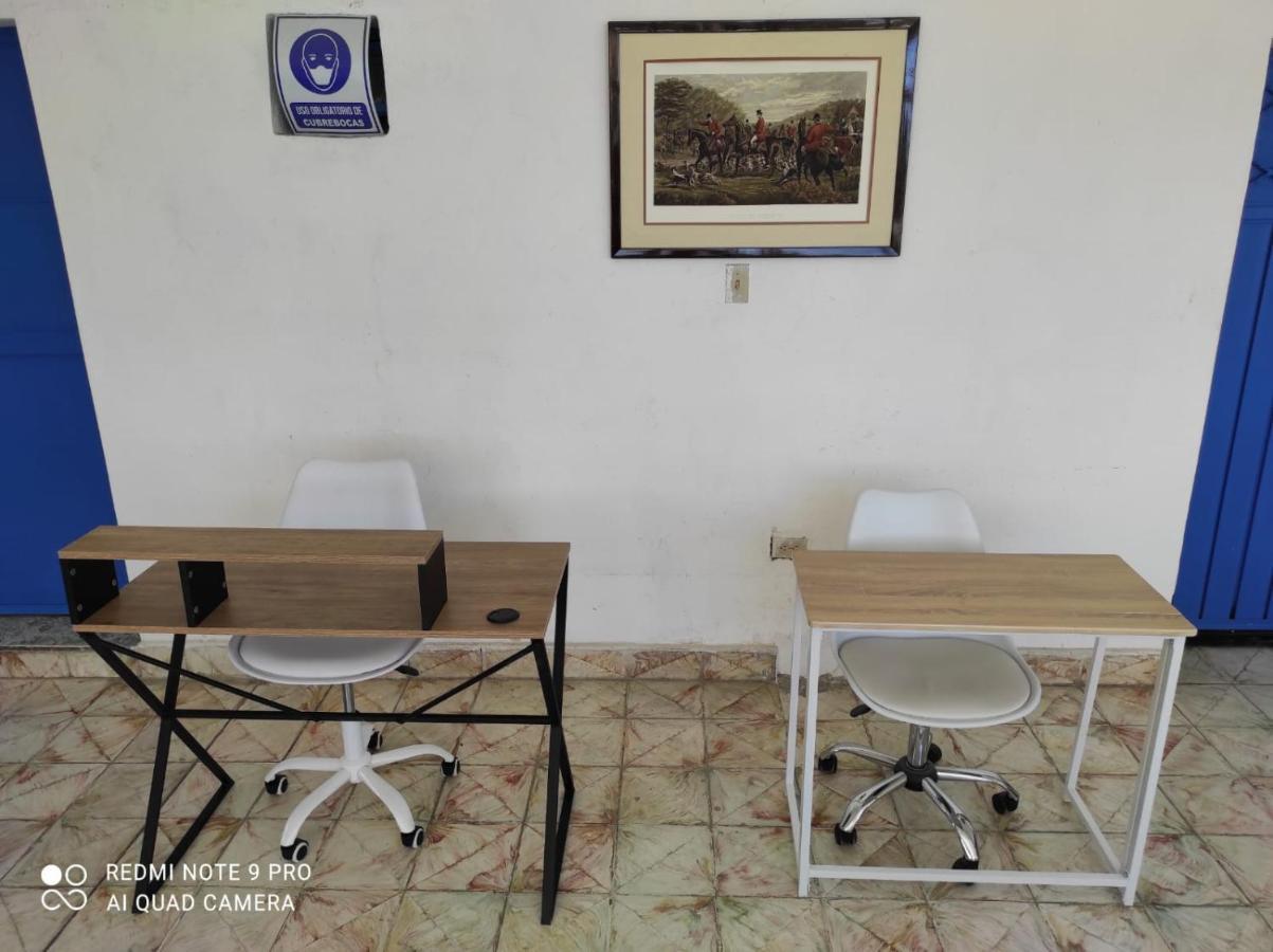 Hotel Casa Ceci Inn San José del Cabo Zewnętrze zdjęcie
