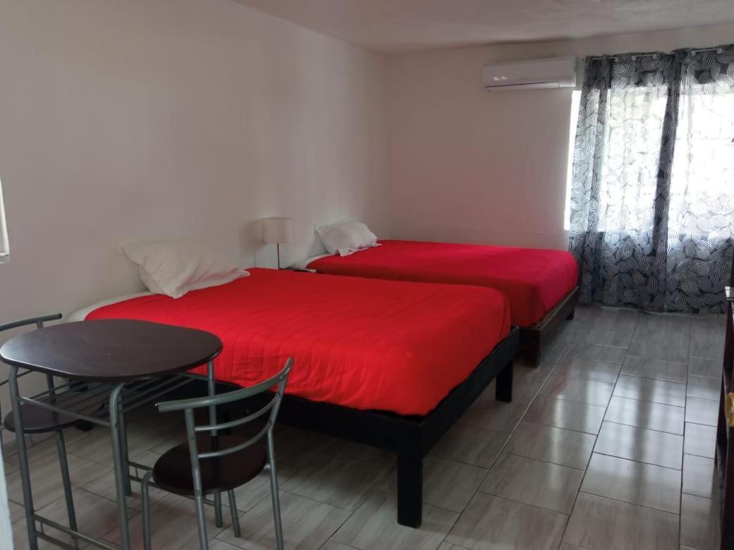 Hotel Casa Ceci Inn San José del Cabo Zewnętrze zdjęcie